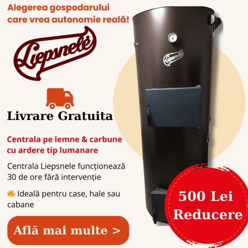 Centrala pe lemne